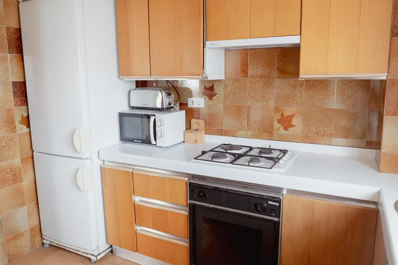 Cal Miquel Apartment Pobla de Segur 0*,
